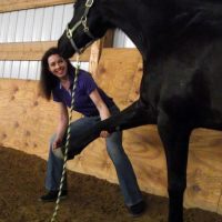 Robyn Drake - Equine Massage 2
