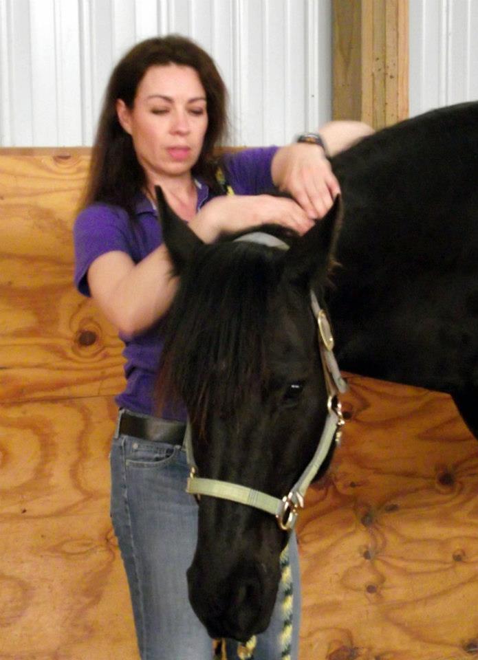 Robyn Drake - Equine Massage 5