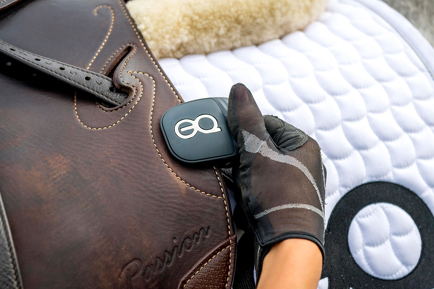 EQ Equestic Saddle Clip How to clip on saddle